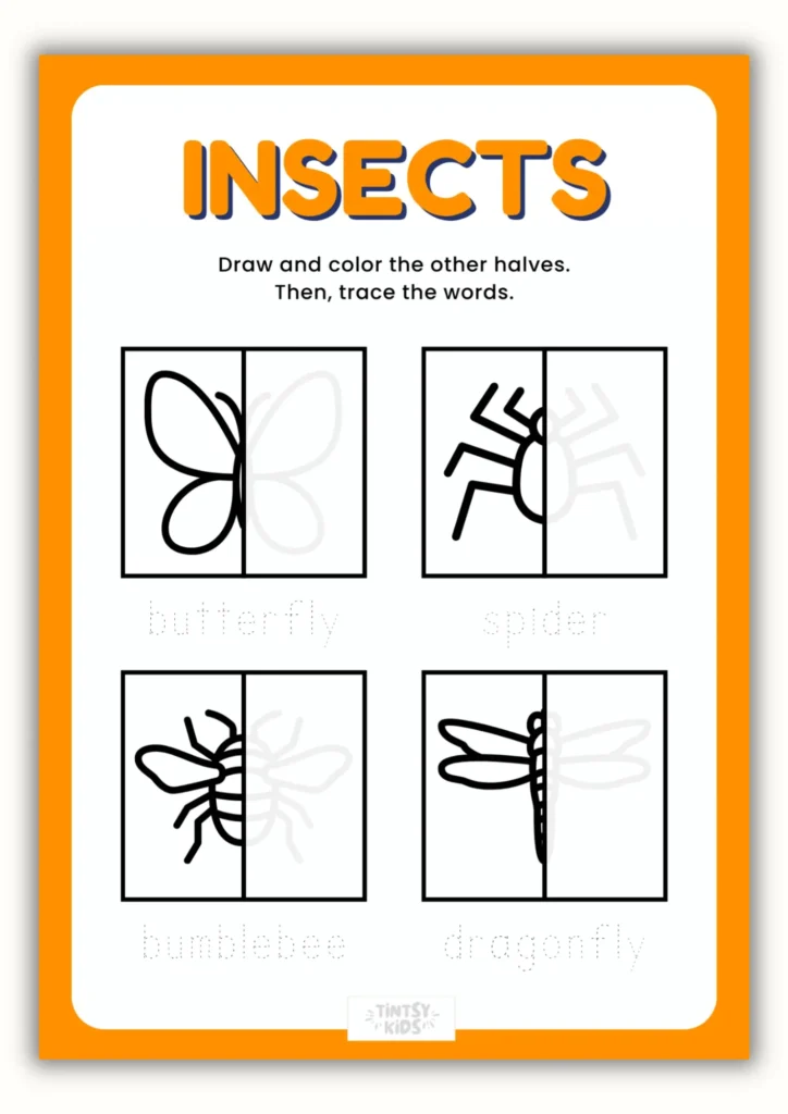 Free insect tracing printable