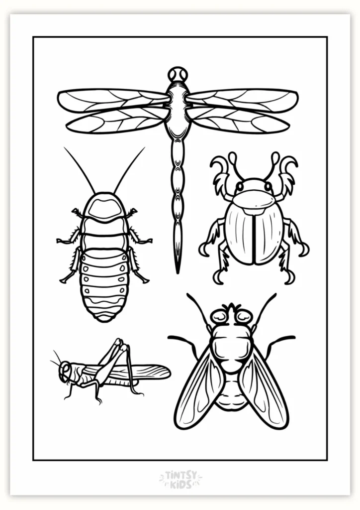 Free Bugs Coloring Page Printable