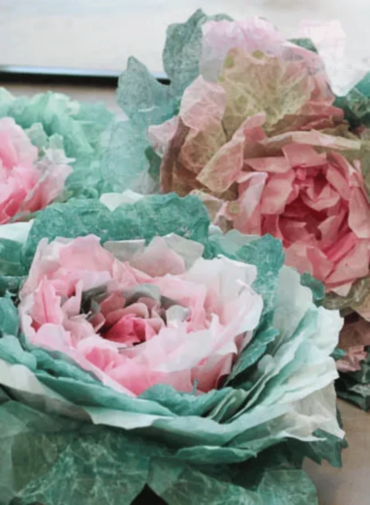 Coffee filter cabbages