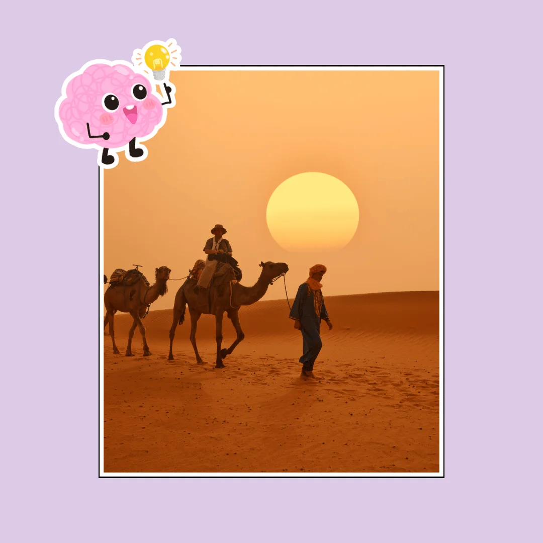 Fun facts about Morocco