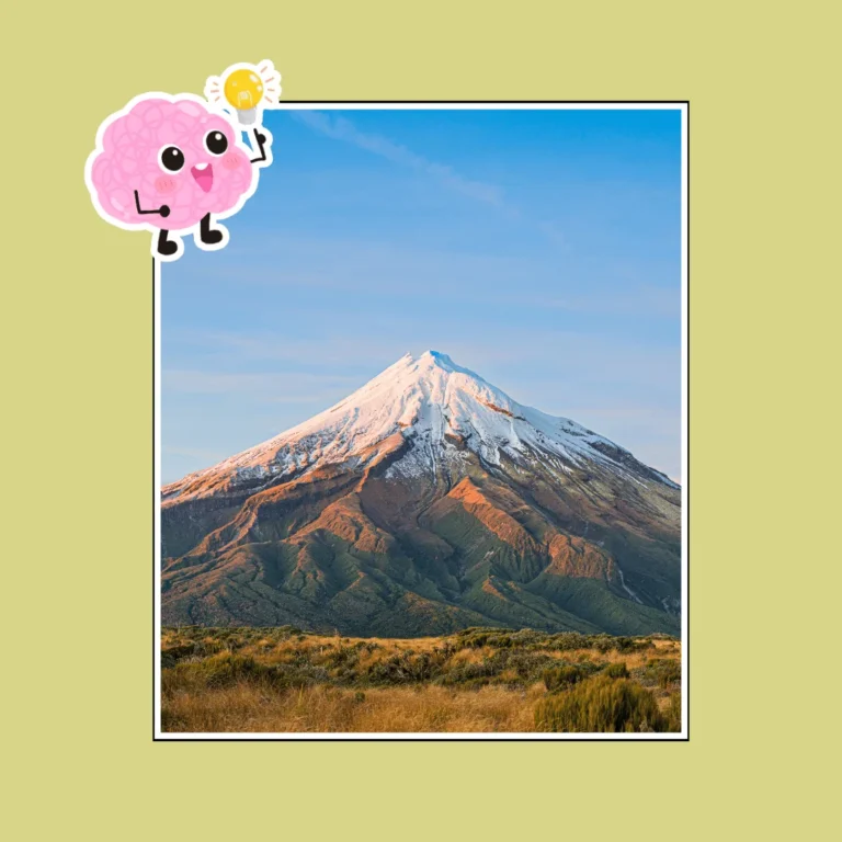 Fun facts about New Zealand