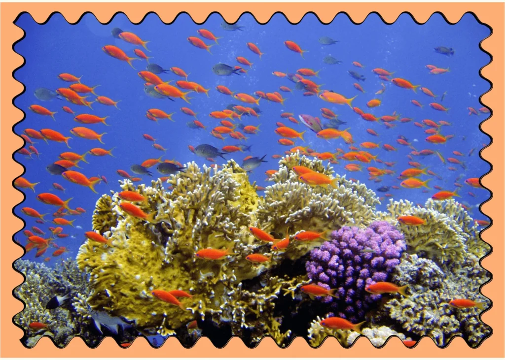 Great barrier reef. fun facts about australia