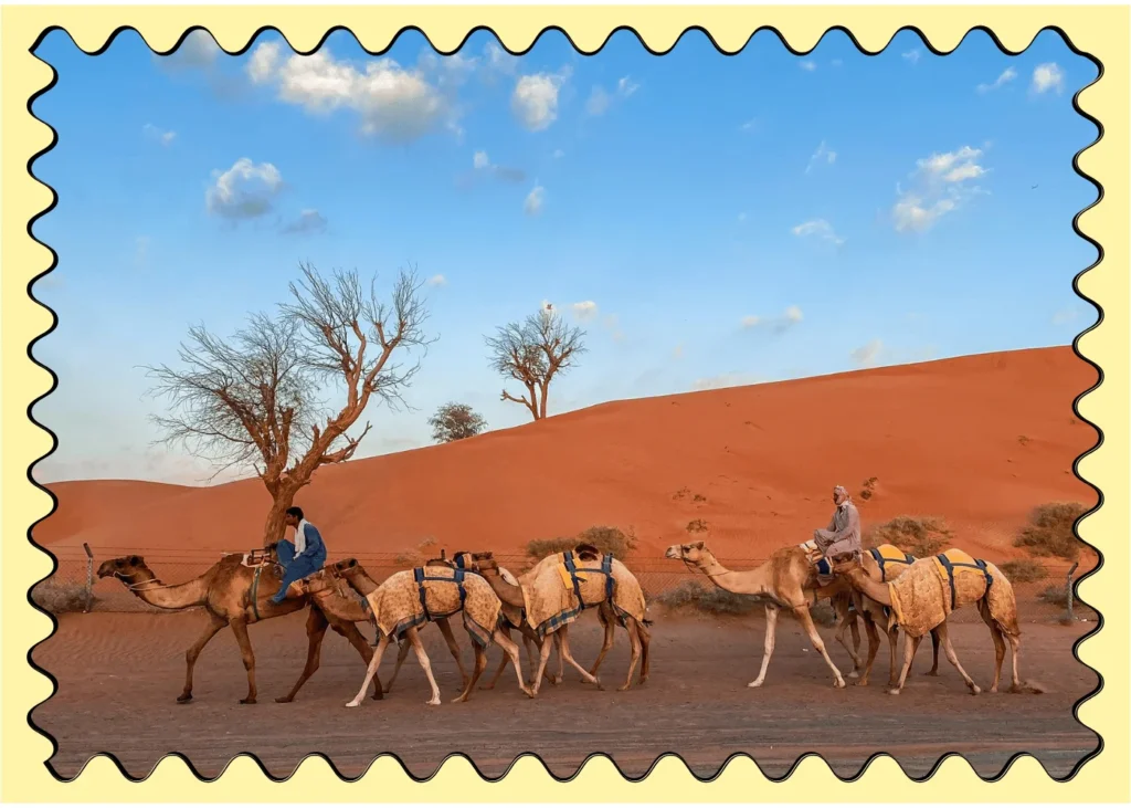 People travelling on camels in morocco. fun facts about Morocco