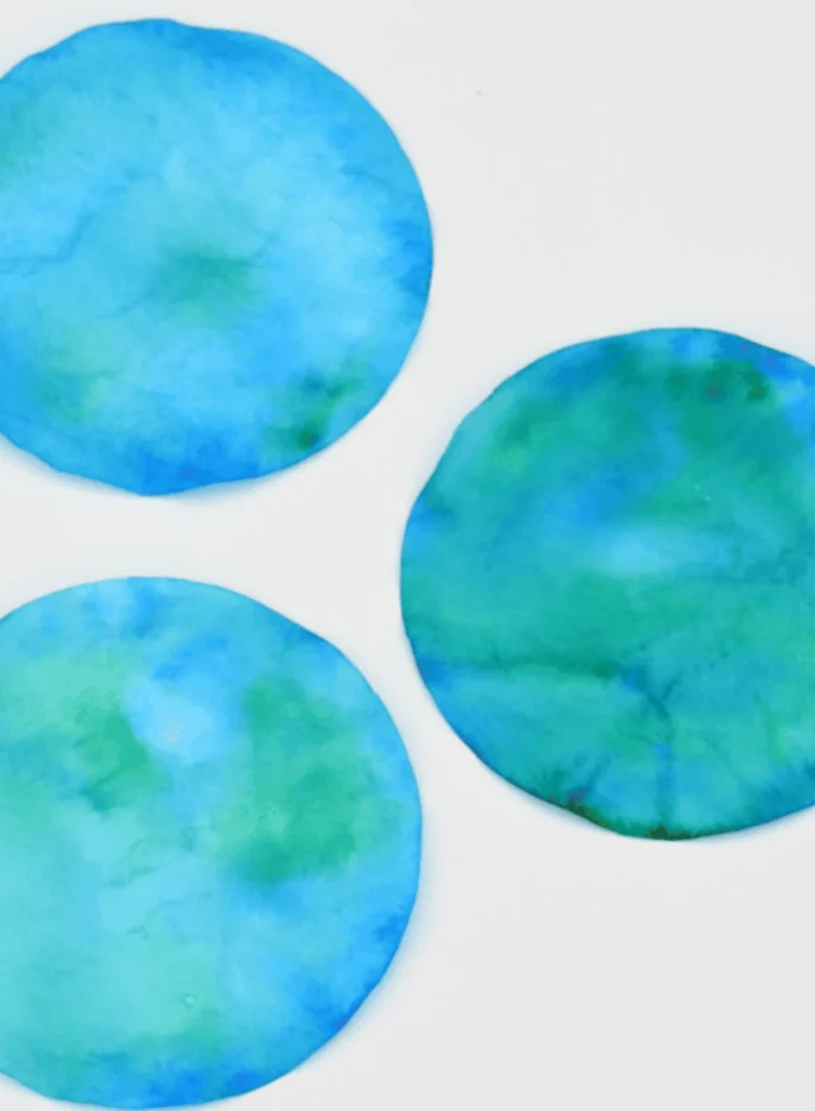 Planet Earth Day Craft