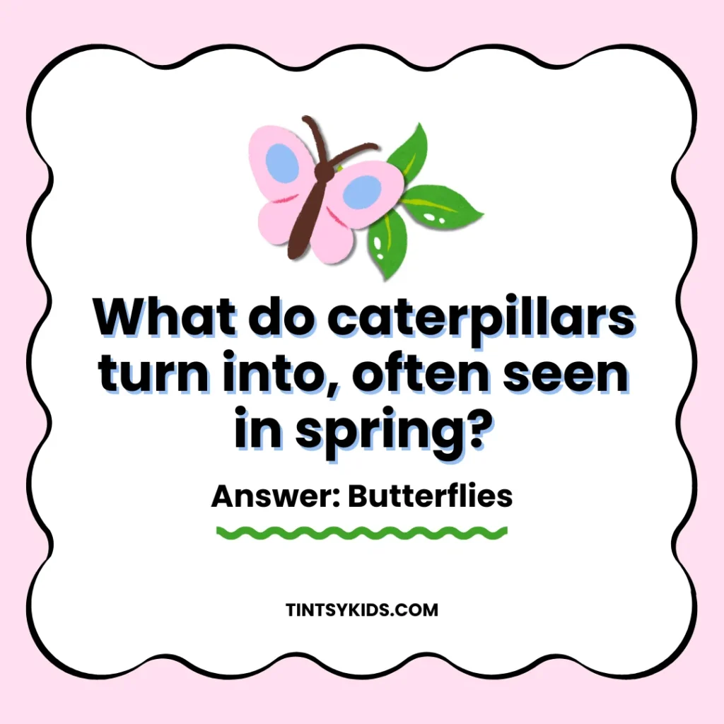 Spring trivia questions for kids