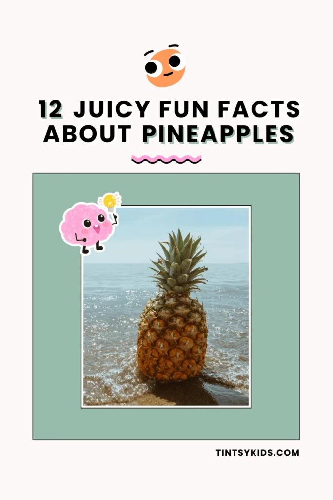 fun facts about pineapples