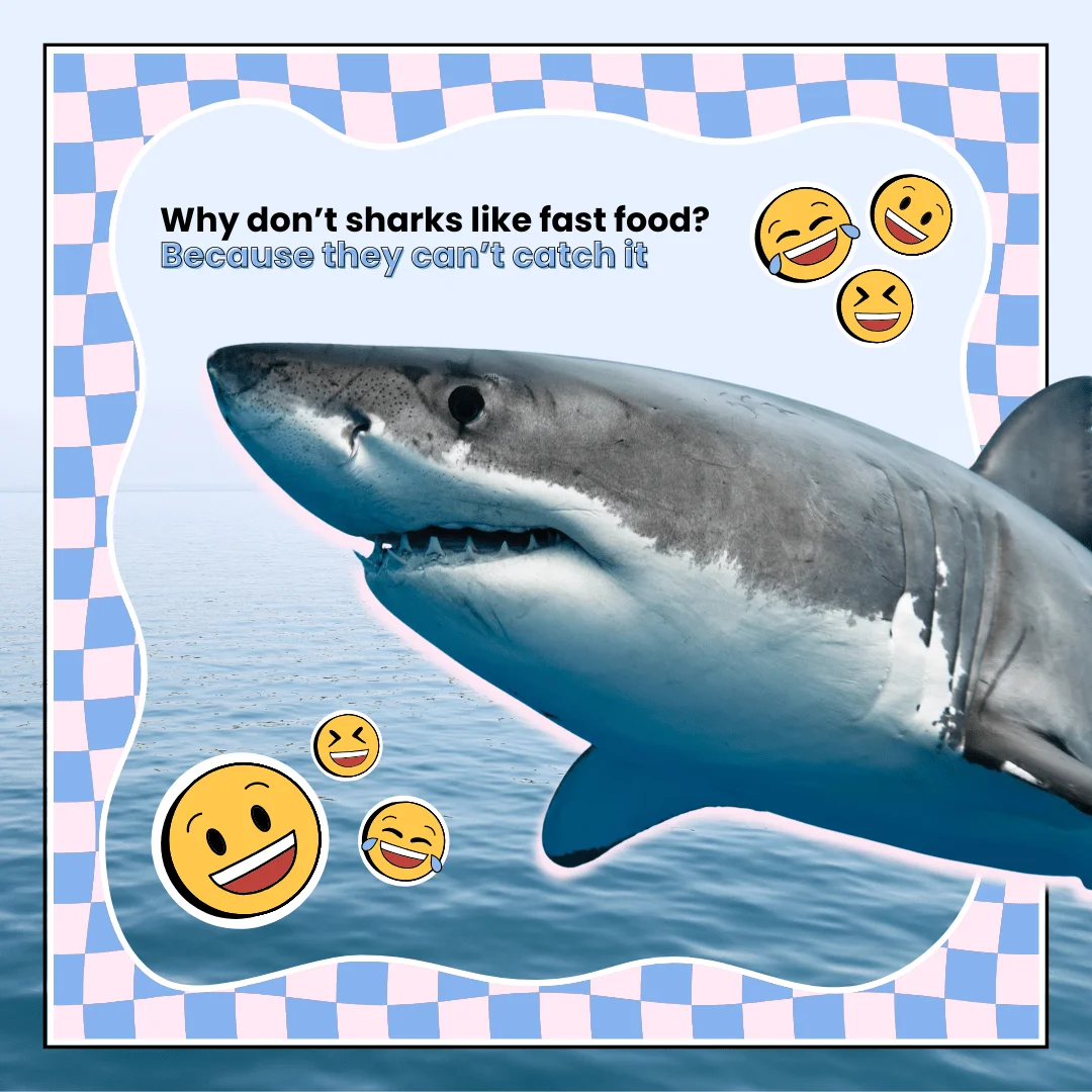 shark jokes for kids