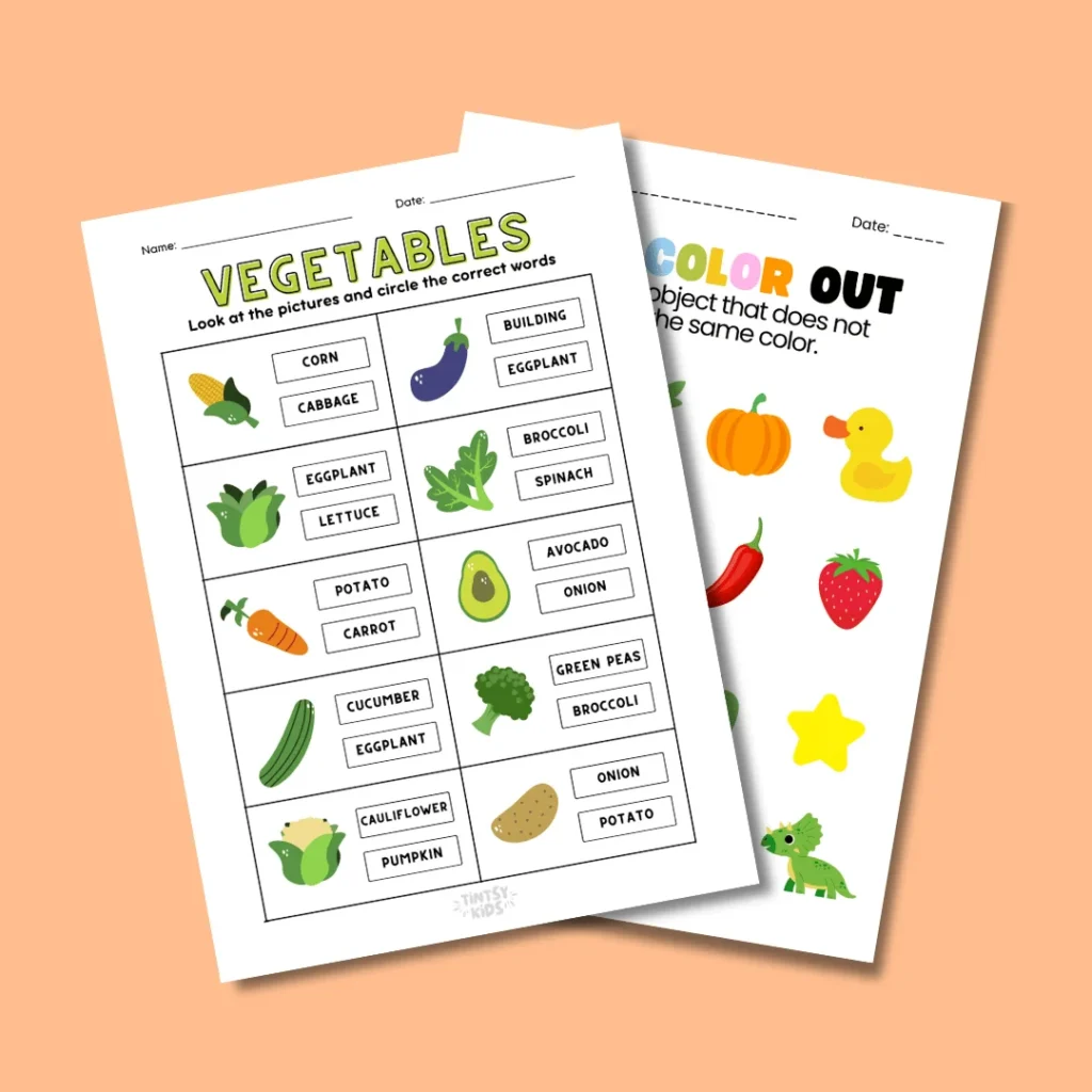 Free Matching & Sorting Worksheets - Printables