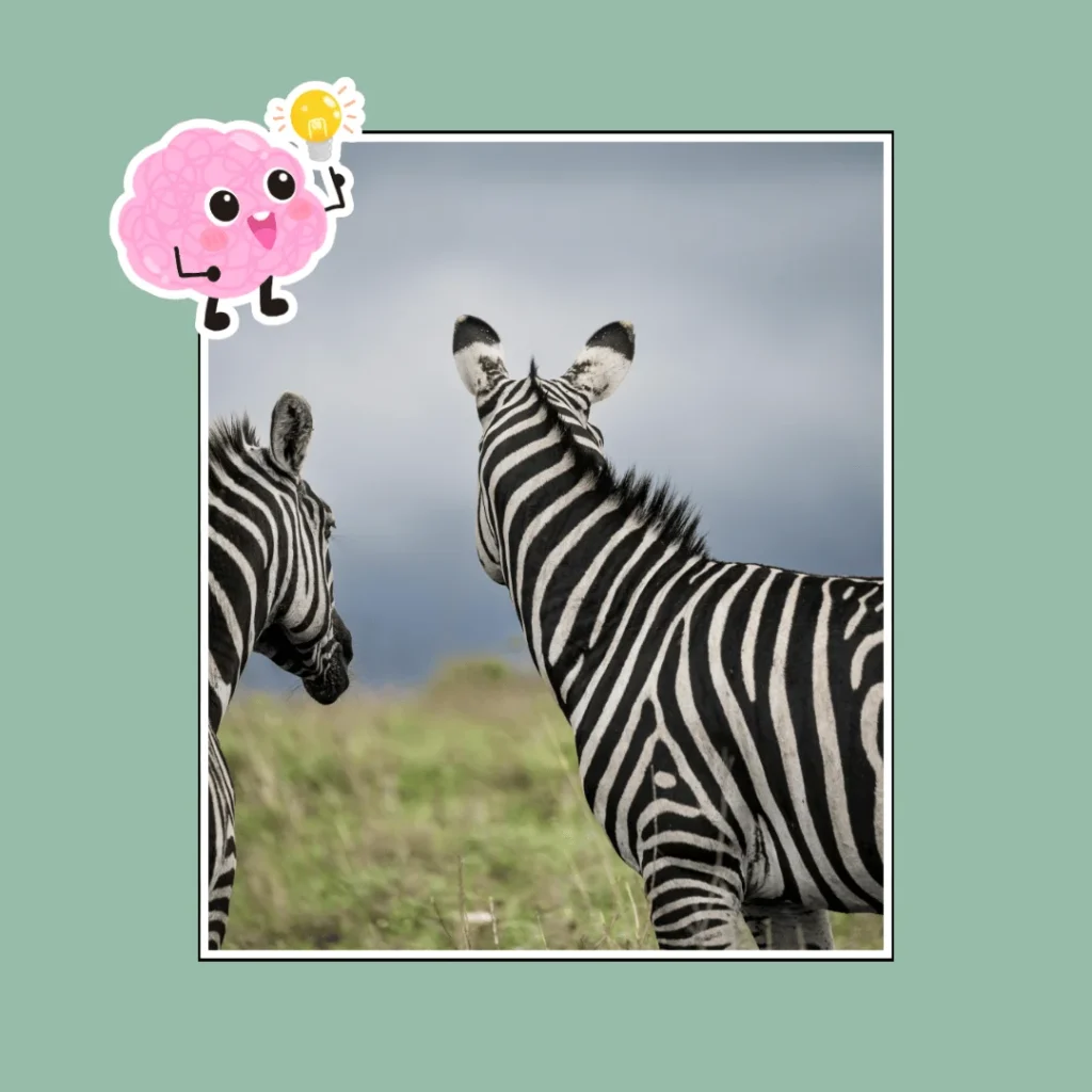 Fun facts about zebras
