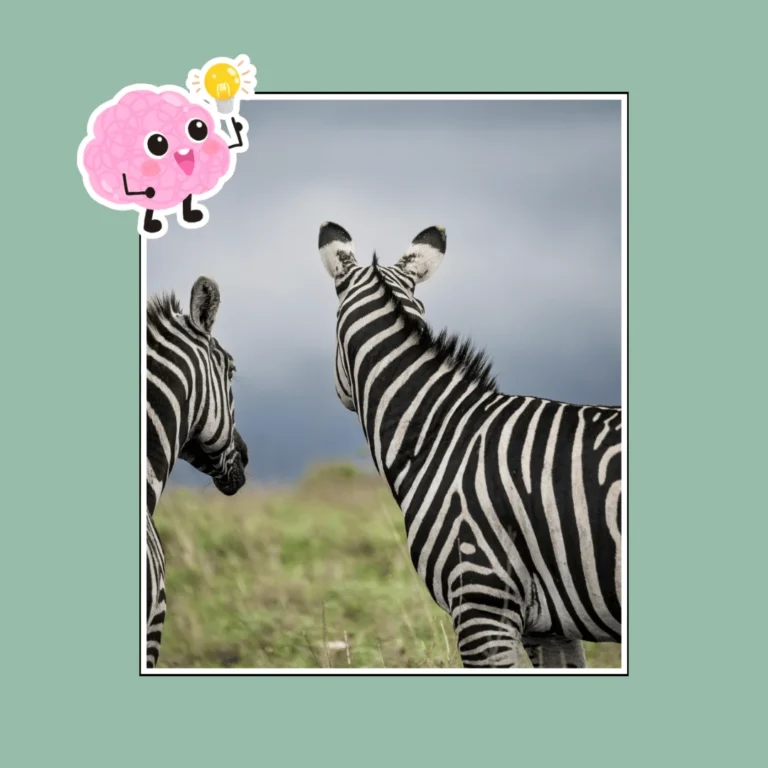 Fun facts about zebras
