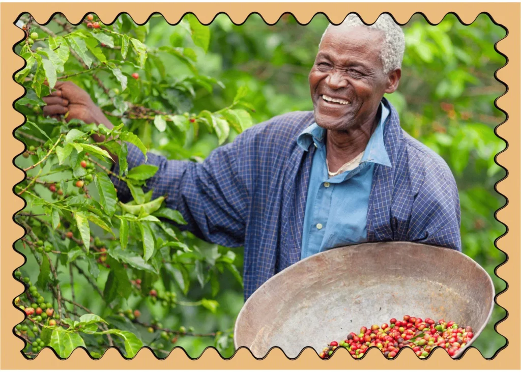 Kenyan Fair Trade Coffee Farmer. fun facts about Kenya