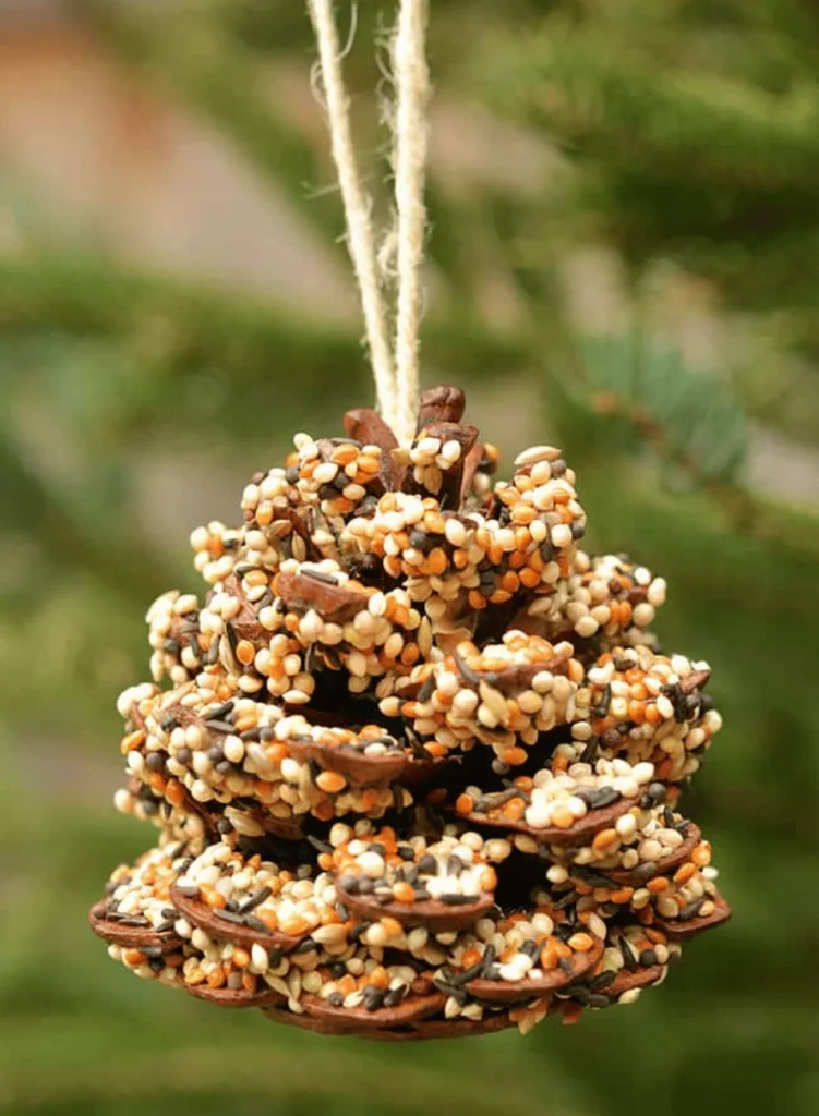 Pine Cone Bird Feeder