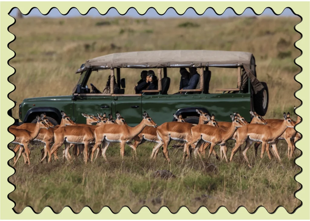 Safari excursion. fun facts about Kenya