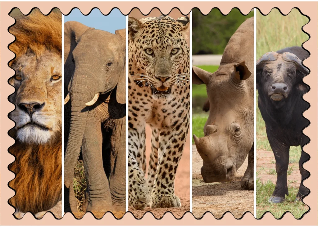 The big five. fun facts about Kenya