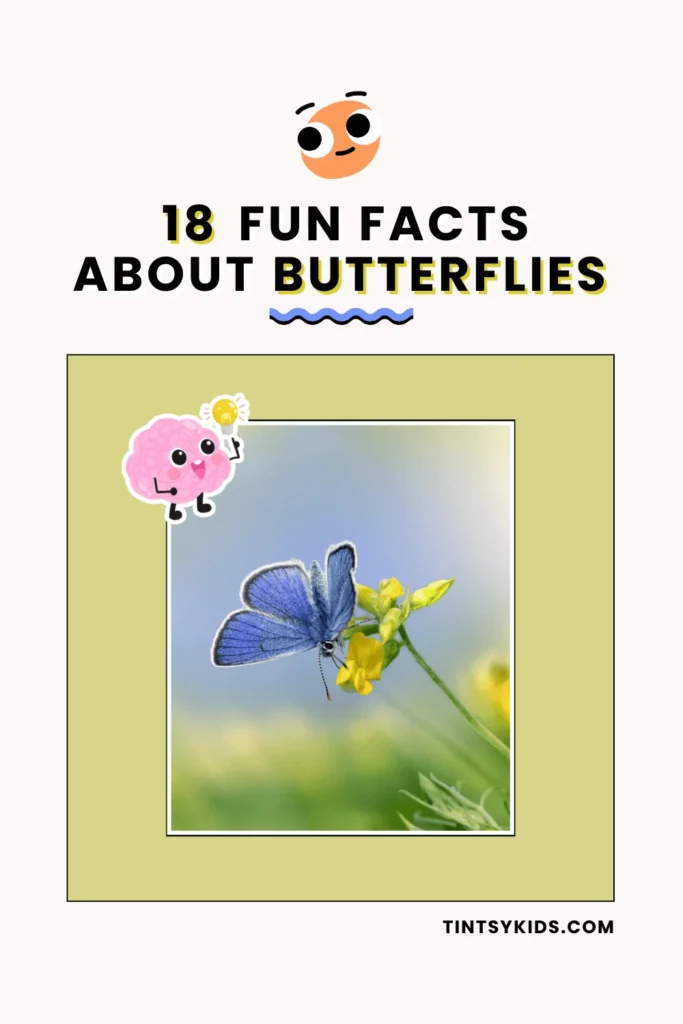 fun facts about Butterflies
