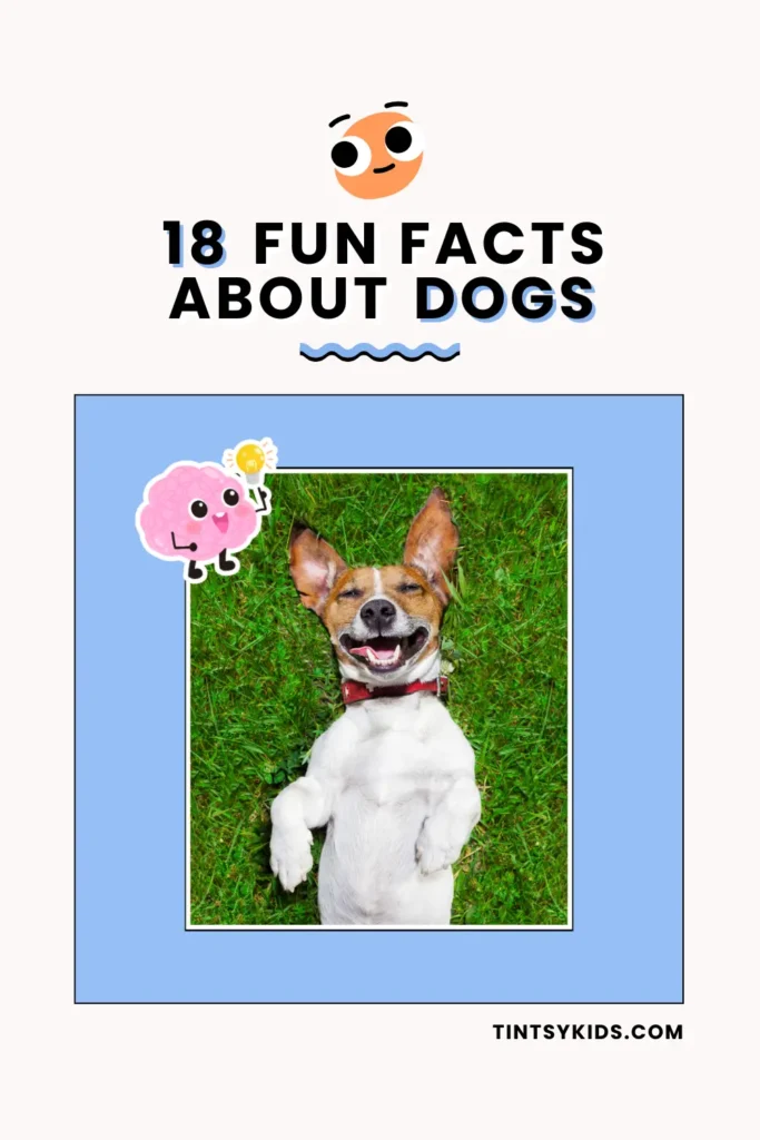 fun facts about dogs